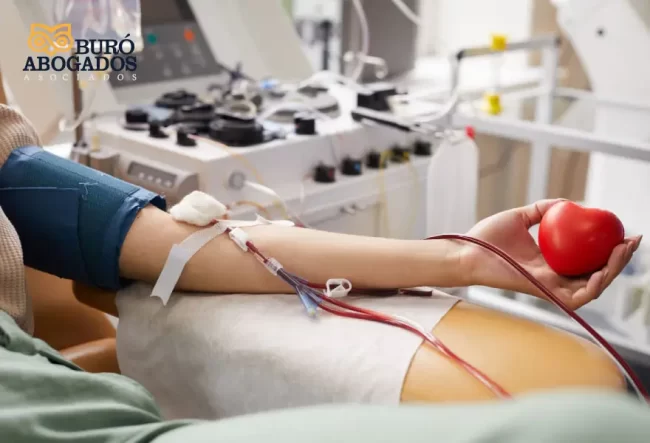 articulo-transfusion-de-sangre-web