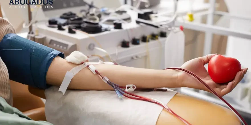 articulo-transfusion-de-sangre-web