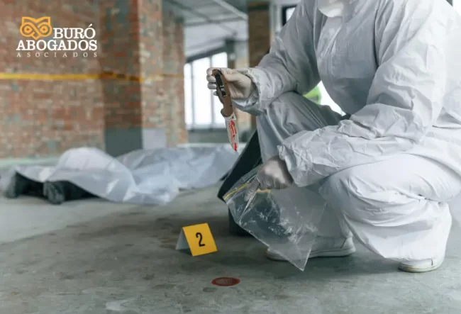 la-importancia-de-la-ciencia-criminalistica-web